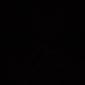 Meet your Posher, Robyn